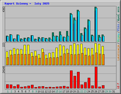 Raport Dzienny -  luty 2025