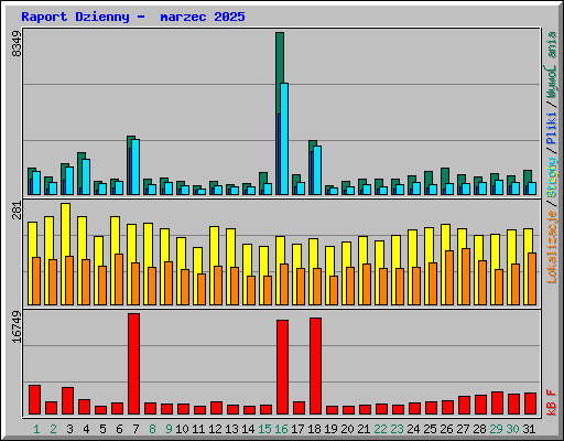 Raport Dzienny -  marzec 2025