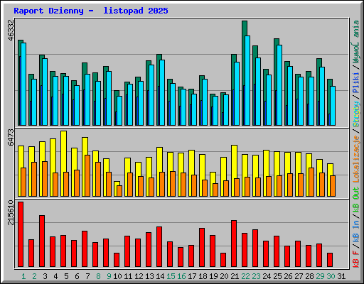 Raport Dzienny -  listopad 2025