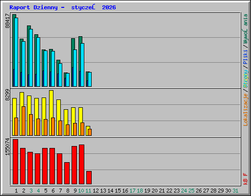 Raport Dzienny -  styczeń 2026