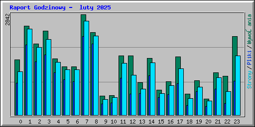 Raport Godzinowy -  luty 2025
