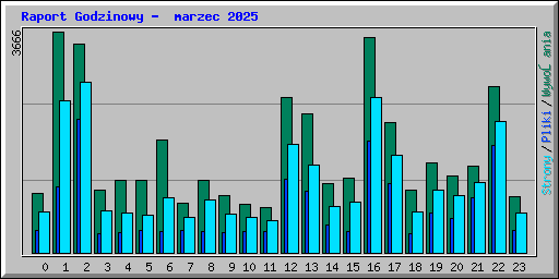 Raport Godzinowy -  marzec 2025