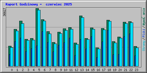 Raport Godzinowy -  czerwiec 2025