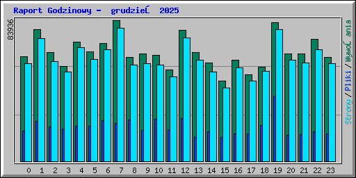 Raport Godzinowy -  grudzień 2025