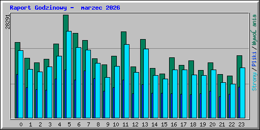 Raport Godzinowy -  marzec 2026