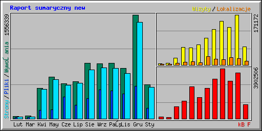 Raport sumaryczny new
